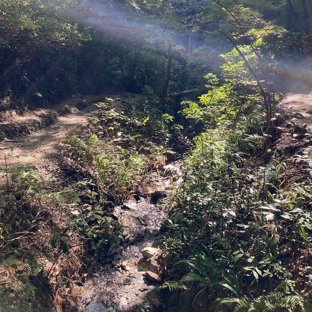 清宮海斗さんのインスタグラム写真 - (清宮海斗Instagram)「山はいいよなぁ🤤 #山登り #景色 #目の保養 #空気がうまい #大自然」11月1日 14時03分 - noah_kiyomiya