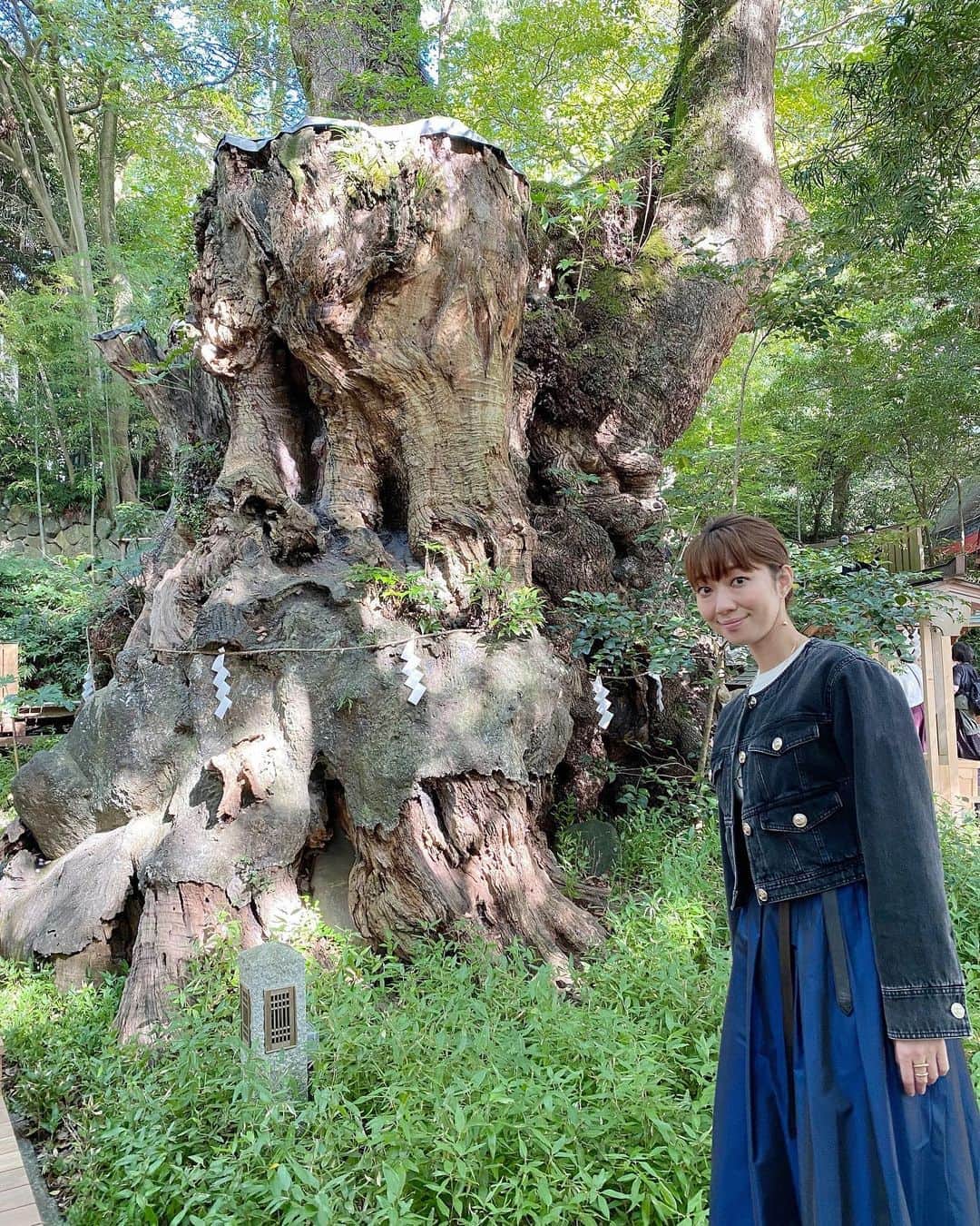のインスタグラム：「こないだ、やっぱり神頼みでしょ‼️と思い行ってきた関東屈指のパワースポット🤣  来宮神社。実は初めてだったのですが、素晴らしかった！何というか、お参りだけじゃなくて、なんか癒しスポットが沢山あって、お洒落なカフェまであって色んな意味でパワーを感じました😜  お参りに行けて良かった‼️ 今週は @mutia_official_ のコンサート @misswine_japan の審査員と 楽しみな1週間の始まりです。  #pianist #mutia #producer  #パワースポット神社 #熱海」