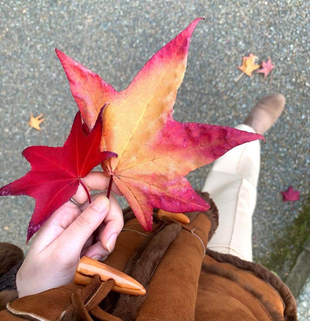 西谷菜々のインスタグラム：「. 紅葉の時期の金沢🍁 空気が澄んでいてとっても気持ちよかった✨」