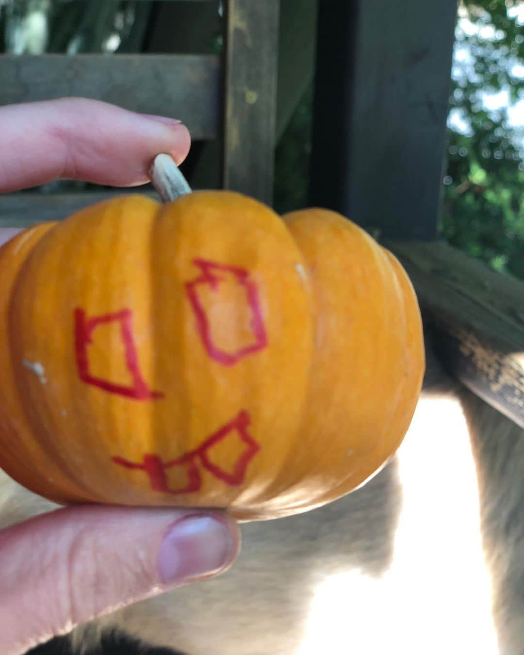 エリカ・クリステンセンさんのインスタグラム写真 - (エリカ・クリステンセンInstagram)「Halloween kinda happened despite 2020 🧡🎃🧡」11月1日 14時42分 - erikachristensen
