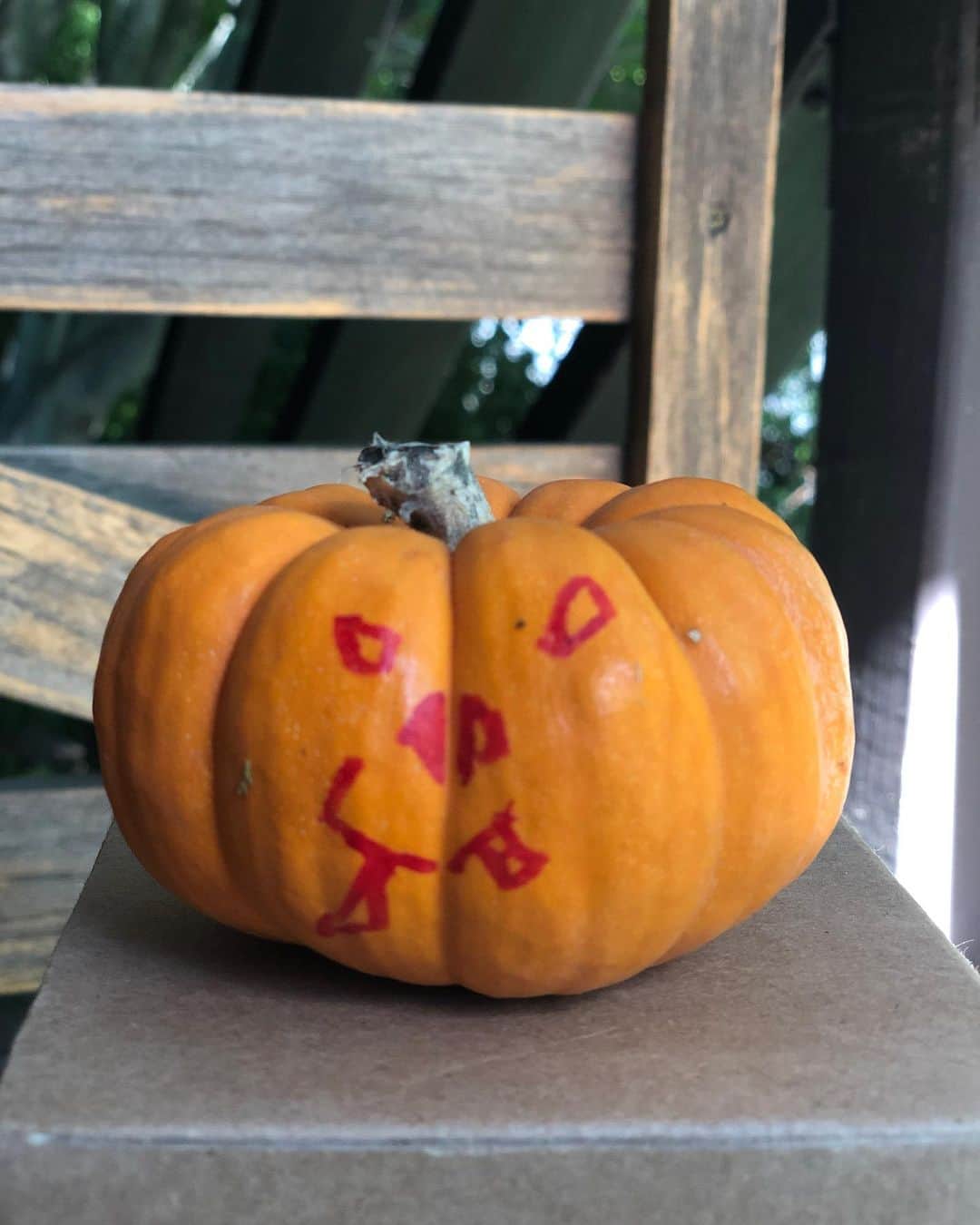 エリカ・クリステンセンさんのインスタグラム写真 - (エリカ・クリステンセンInstagram)「Halloween kinda happened despite 2020 🧡🎃🧡」11月1日 14時42分 - erikachristensen