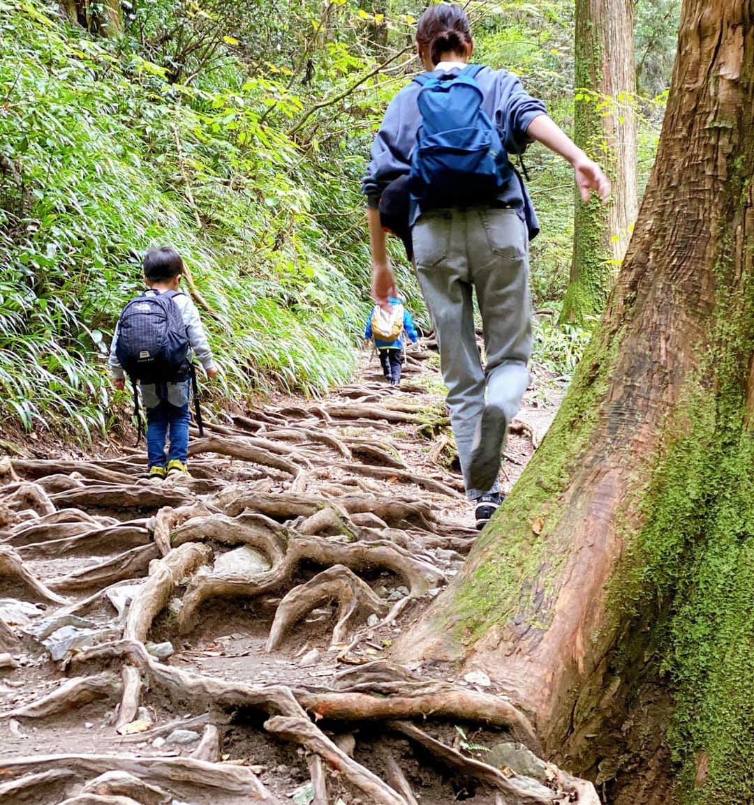 牧野紗弥さんのインスタグラム写真 - (牧野紗弥Instagram)「登山始めました🥾🏔 母子共にアウターとパンツは @thenorthfacejp 。 登山リュックはBRUTUSのアウトドア特集を見て @yamatomichi のMINI2にしました😊 高尾山の6号路を使って登り、4号路とリフトを使って下山するルートに。 お友達と一緒におちびさん達頑張りました✌🏻 山頂で食べたお蕎麦とビール、リフト乗り場で食べたお団子が美味しかった💛 来週は娘と黒檜山に登る予定。 登山にすっかりハマってしまいました😂✌🏻 #登山#登山ファッション #ノースフェイス#northface#高尾山」11月1日 15時11分 - makinosaya