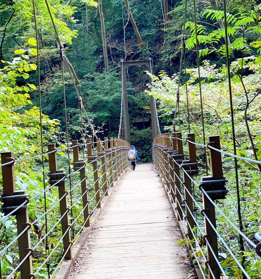 牧野紗弥さんのインスタグラム写真 - (牧野紗弥Instagram)「登山始めました🥾🏔 母子共にアウターとパンツは @thenorthfacejp 。 登山リュックはBRUTUSのアウトドア特集を見て @yamatomichi のMINI2にしました😊 高尾山の6号路を使って登り、4号路とリフトを使って下山するルートに。 お友達と一緒におちびさん達頑張りました✌🏻 山頂で食べたお蕎麦とビール、リフト乗り場で食べたお団子が美味しかった💛 来週は娘と黒檜山に登る予定。 登山にすっかりハマってしまいました😂✌🏻 #登山#登山ファッション #ノースフェイス#northface#高尾山」11月1日 15時11分 - makinosaya