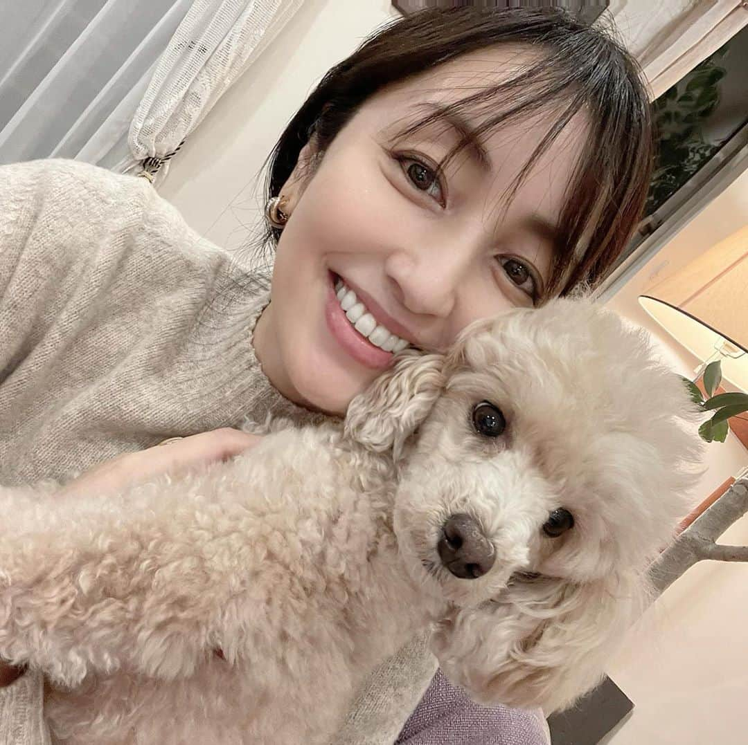 矢田亜希子さんのインスタグラム写真 - (矢田亜希子Instagram)「きなこ♡ #トイプードル#toypoodle #きなこ#もなかと姉妹犬#愛犬#癒し」11月1日 15時35分 - akiko_yada