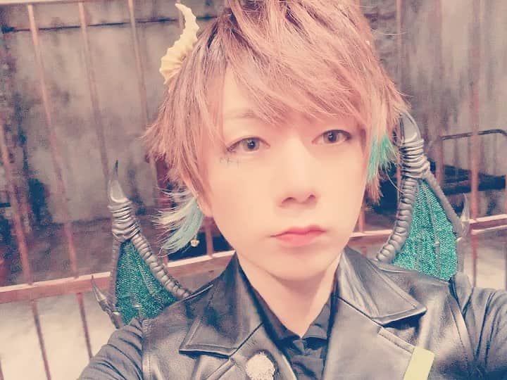 浦田わたるさんのインスタグラム動画 浦田わたるinstagram お久しぶりにインスタに動画投稿 いいねとかコメントしてね うらたぬき 浦島坂田船 11月1日 15時43分 Uratasama Wataru