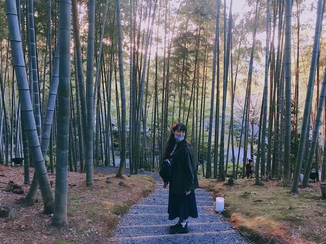 諏訪彩花のインスタグラム：「かぐや🌕雅だわ🎎 #京都#おもいで」