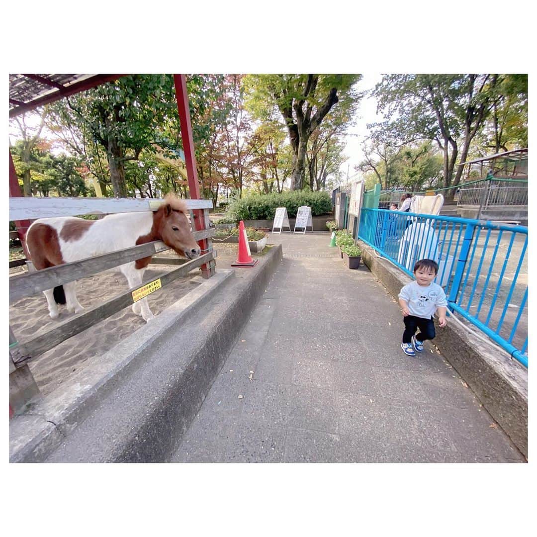辻希美さんのインスタグラム写真 - (辻希美Instagram)「今日は近所にある触れ合い公園へ…🐏💕」11月1日 16時48分 - tsujinozomi_official