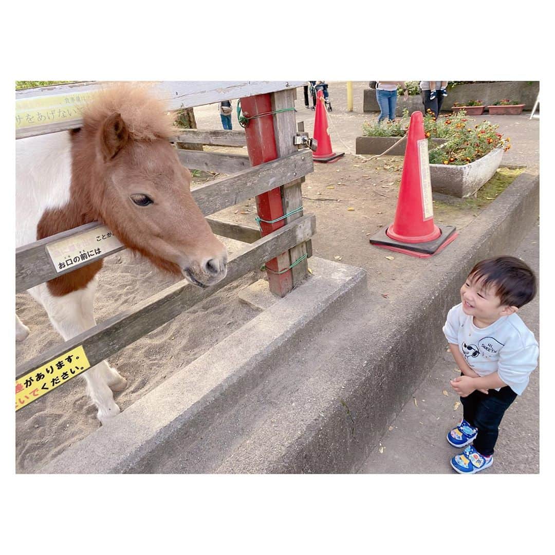 辻希美さんのインスタグラム写真 - (辻希美Instagram)「今日は近所にある触れ合い公園へ…🐏💕」11月1日 16時48分 - tsujinozomi_official