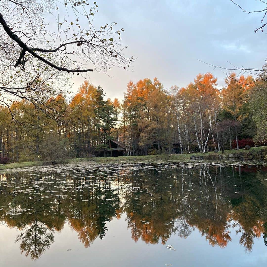 井上荒野のインスタグラム：「夕暮れ。夕陽のせいで紅葉がオレンジがかって見える。」