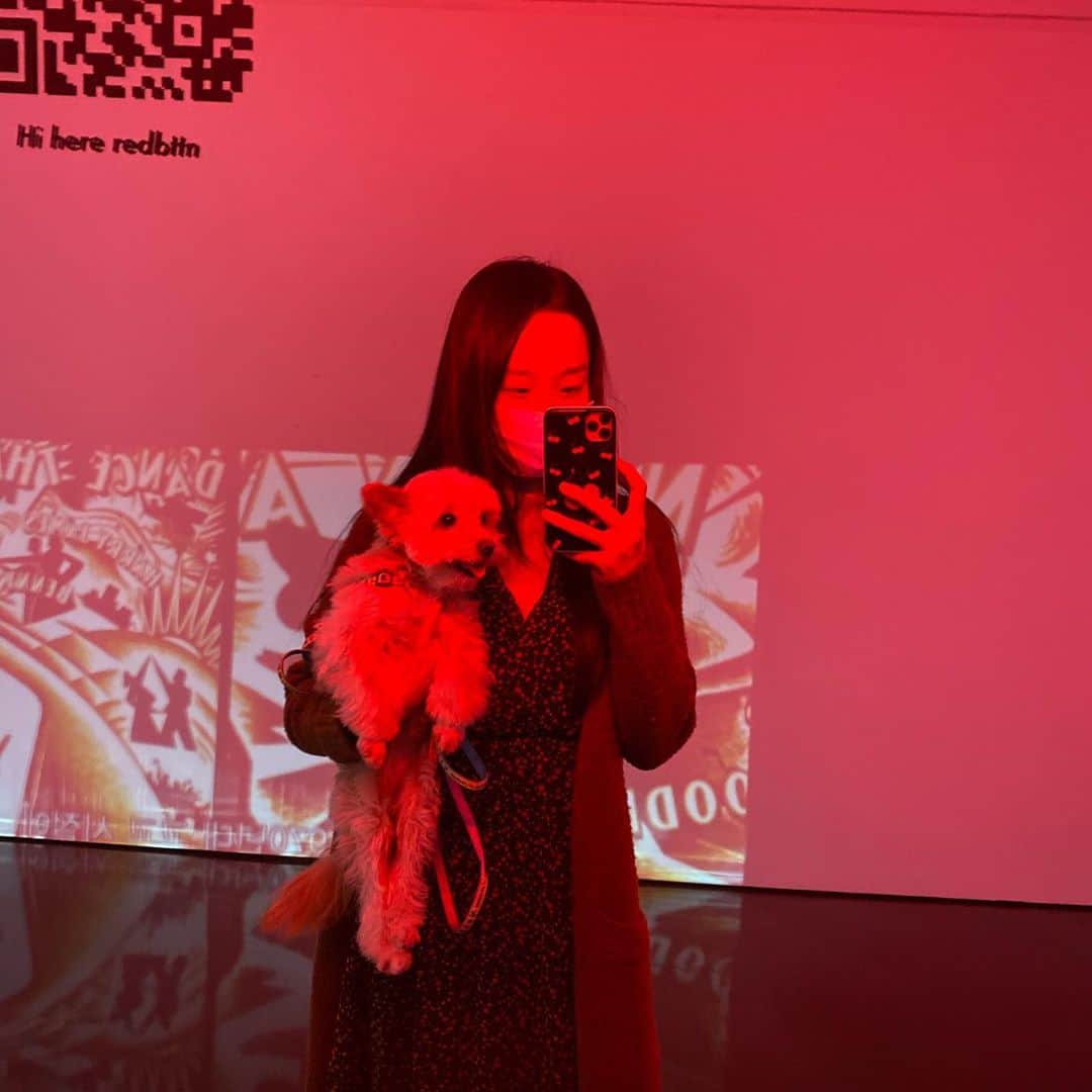 ムン・イェウォンのインスタグラム：「오랜만에 놀러온 사장님 안 계신 @redbttnseoul  애견동반 촬영이 가능한 #레드버튼 사진의 주인공은 정생강님 ❤️ 다음에는 문두부랑 촬영하러 와야징 !!!」