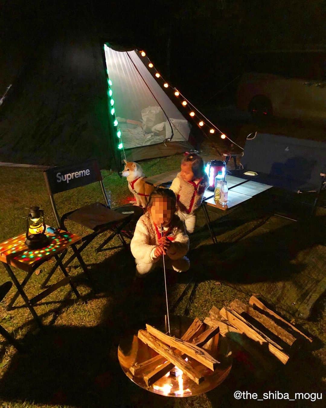 Moguのインスタグラム：「. ハロウィンキャンプで子守をするもぐなの。 #Halloweencamping #火吹き棒で火を起こす4歳とウロウロする1歳 #ハロウィンキャンプなのをいいことにキャンプでお菓子を食べまくった2人 . @the_shiba_mogu  #柴犬 #shibainu #shiba#赤柴 #redshiba#犬 #dog#しばいぬ#nannydog#犬と子供#子供と犬#柴犬と子供#柴#赤ちゃんと犬#犬と赤ちゃん#柴犬と赤ちゃん#赤ちゃんと柴犬#柴犬のいる暮らし#子守犬#犬とキャンプ#柴犬とキャンプ」