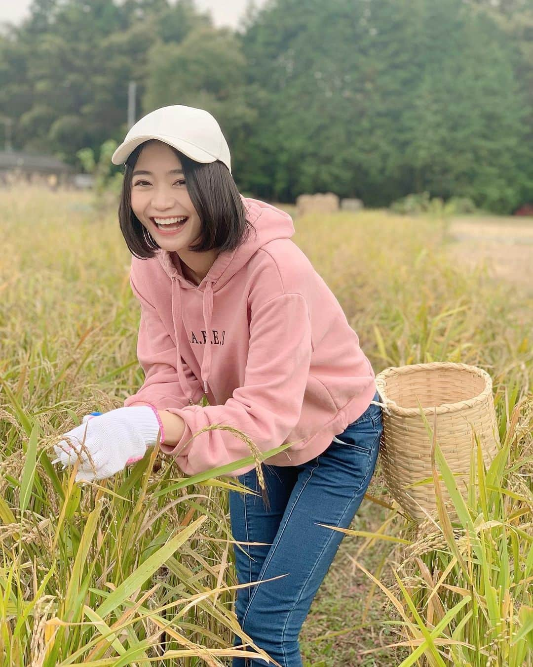 緑川静香さんのインスタグラム写真 - (緑川静香Instagram)「先日赤米の稲刈りに行ってきました🌾✨✨✨﻿ ﻿ 6月に田植えに行きあっという間に立派に育ちました👏﻿ ﻿ 赤米の稲刈りはちょっと変わってて、お米の部分だけを刈ります😊﻿ 腰に籠をぶらさげて、どんどん重くなっていくのが幸せでした✨﻿ ﻿ どんなお酒に仕上がるのかしら…🍶💕﻿ 楽しみです🥰﻿ ﻿ #しーたん日本酒録 #稲刈り #赤米 #日本酒  #愛おしい #ただただ無言で刈り続けた #美味しいお酒になるんだよぉ」11月1日 16時56分 - midorikawa_shizuka