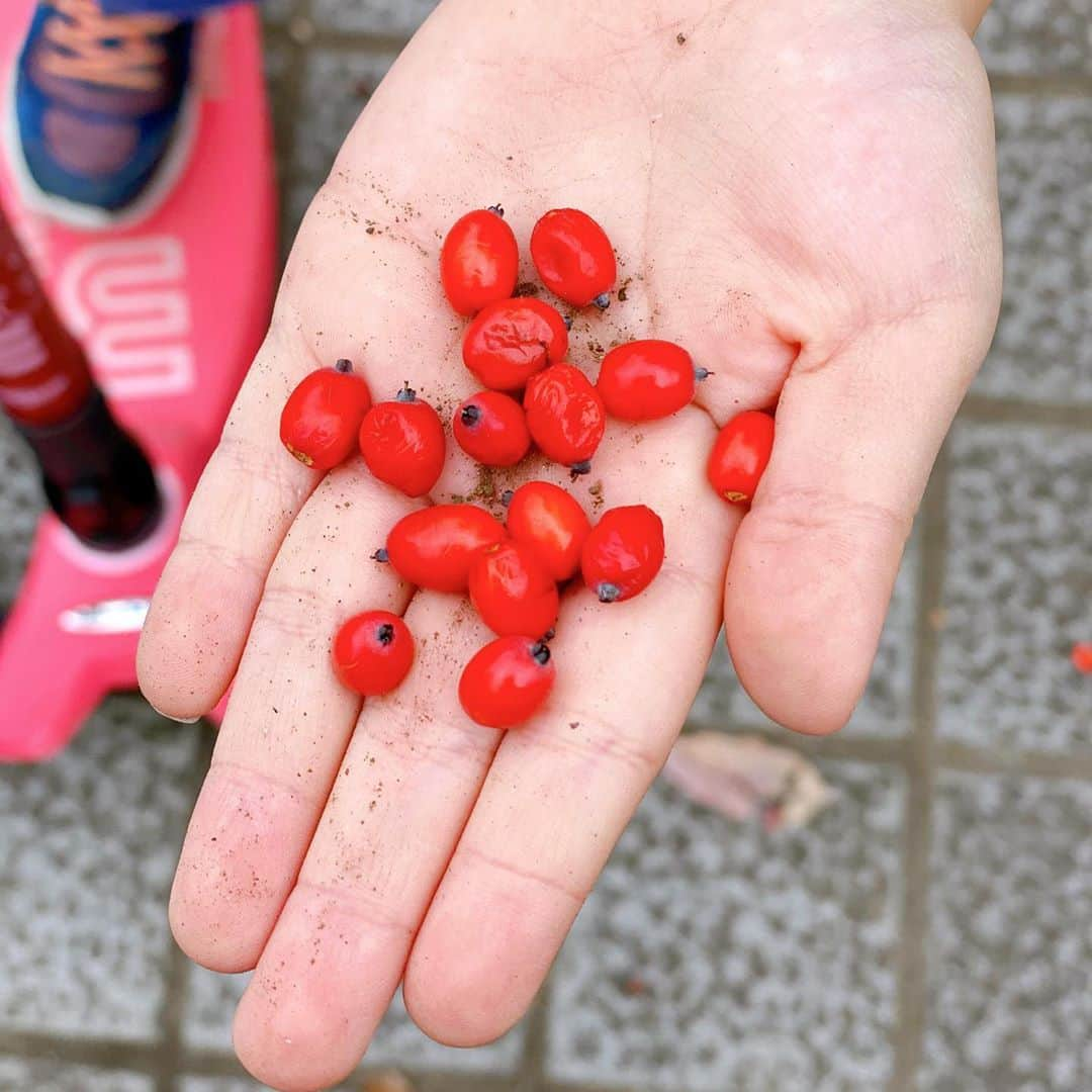 海保知里のインスタグラム