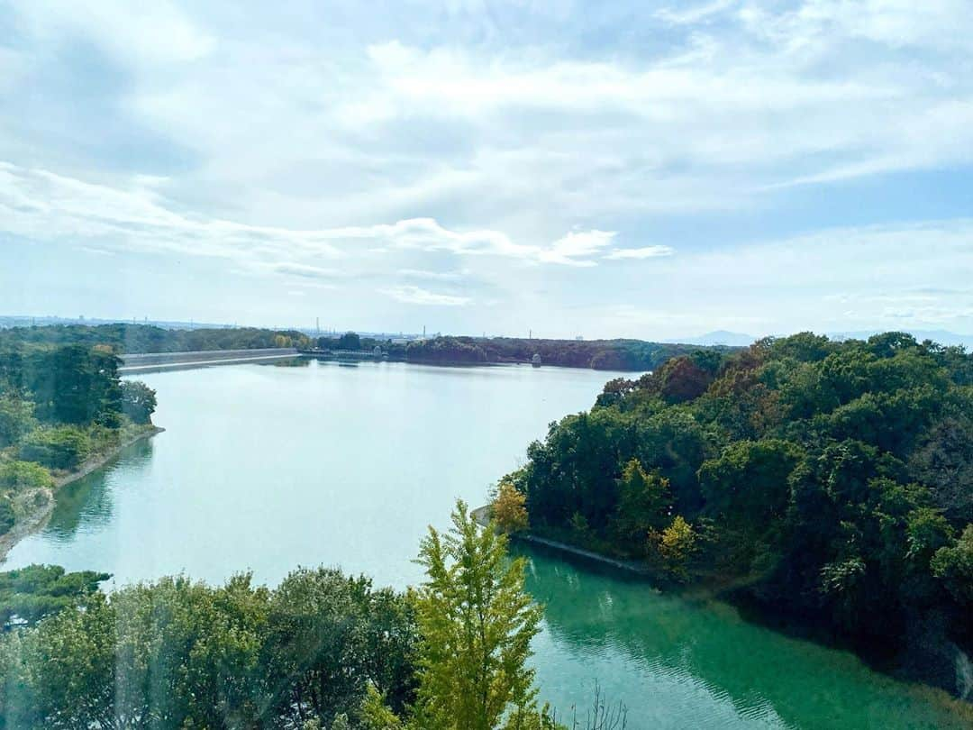 大後寿々花さんのインスタグラム写真 - (大後寿々花Instagram)「多摩湖を一望できる中華料理屋さんでおランチ🍲 子供の頃に連れて行ってもらっていた中華屋さんの味に似ていて嬉しかったなぁ。 もうそのお店は無くなって何年も経つけど味は忘れないものですね😋  天気も良くて富士山も眺められた😎✨ #多摩湖 #狭山湖 #🍜 #chinesefood」11月1日 17時19分 - suzuka_ohgo