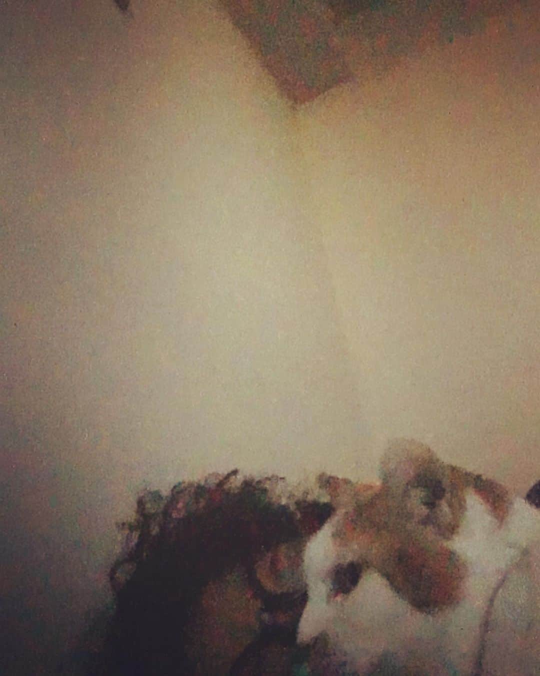 のインスタグラム：「作品タイトル: ふしだらなふたり  #猫沢イオ　#ふしだらって言ってみたかった」