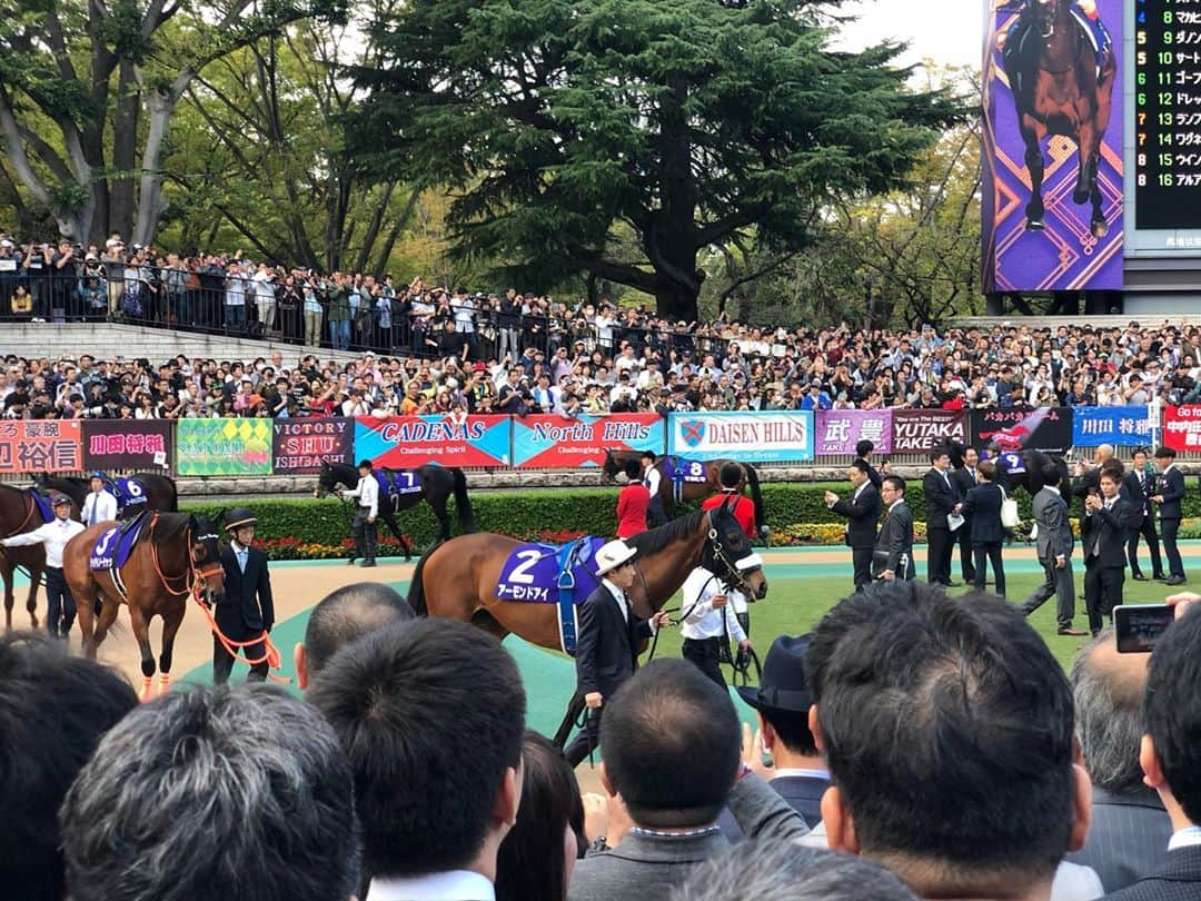 津田麻莉奈さんのインスタグラム写真 - (津田麻莉奈Instagram)「史上初の芝GI・8勝！ アーモンドアイおめでとうございます！！！  数々の大舞台で偉業を達成されてきたルメール騎手の涙。 その重み、プレッシャーがどれだけのものか垣間見たような気がしました😢✨  予想はクロノジェネシス本命でしたが、 馬券はデイリースポーツさんで予想させて頂いた ○◎▲の3連複が的中！ 3連単と迷いましたが、馬券的妙味を考え絞って3連複にして正解でした。当てて馬券プレゼントできて嬉しい🥺 当選された方おめでとうございます👏  写真1〜3枚目は昨年の天皇賞秋当日のもの。 この日はシルクの勝負服カラーのドレスを着たんですよねぇ👗 レース後はTIMゴルゴさん、レッドさん、高畑充希さん、そしてクリストフ・ルメール騎手とのレース回顧トークショーで進行役を務めさせて頂きました。  あれから一年。 今年はテレビ観戦でしたが、またこの舞台でアーモンドアイの強さを見ることができました。 3週続けて歴史的な瞬間を目の当たりにして、この時代に競馬を好きでいられて本当に幸せだなあ…と思います。  負けてはしまいましたが…。 本命にしたクロノジェネシス。 思った通りの位置での競馬ではなかったようですがそれでも強かった。4歳になってからのさらなる充実ぶりはすごいものがありますし、宝塚記念のような牡馬を一蹴する強い勝ちっぷりがまた見たいです…！  天皇賞春秋制覇とはなりませんでしたが、フィエールマンも本当に見事でした。  いい天皇賞だったなぁ🥰 実は京都最終レースも的中しまして…。 個人的にも珍しく馬券がいっぱい当たって、土日通してプラスで終えられました！  この勢いでJBCも当てるぞー！！  −−−−−−−−−−−−−−−−−−−−−−−−  #秋の盾 #天皇賞 #天皇賞秋 #競馬 #アーモンドアイ #芝GI8勝 #関係者の皆様 #おめでとうございます #まりなる #津田麻莉奈」11月1日 17時34分 - tsudamarinal