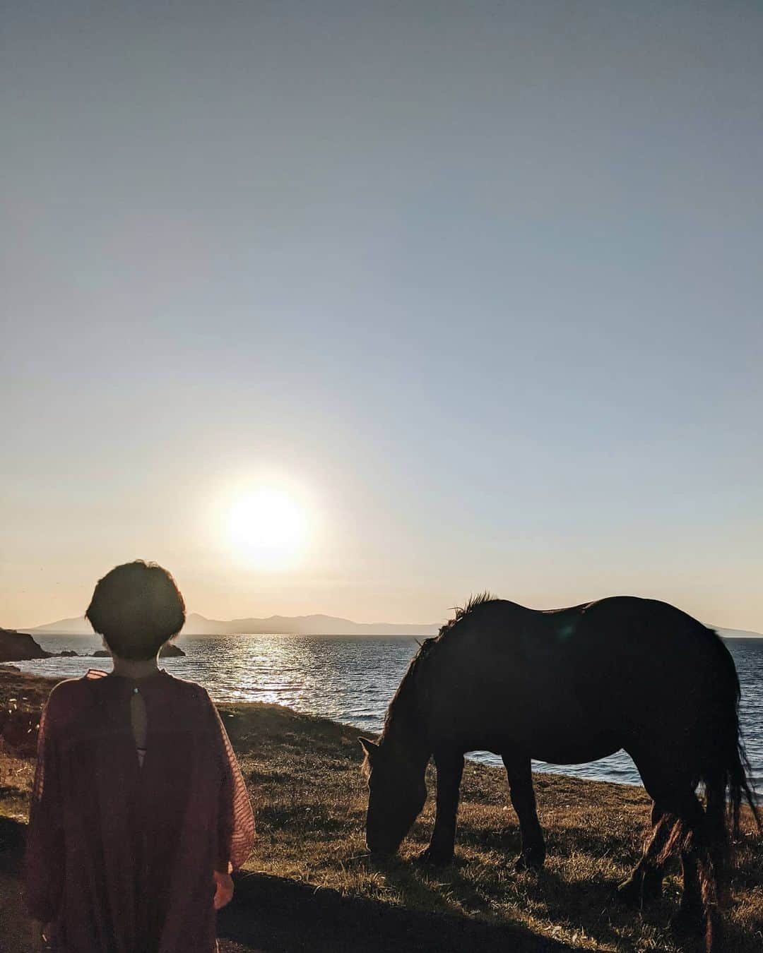 鍋島のぞみのインスタグラム：「#寒立馬 寒さに耐えて野生で生きる馬たち。 私たちがイメージする馬とは違い 親しみのあるフォルムと優しい目。 尊い… . 4枚目 私「ウマいかい？馬だけに」 🐴「…。」 . #青森 ほんの少し前まで「埼玉より上に行った事無い」って言っていた私が、とうとう本州最北端まで来ましたよっと。」