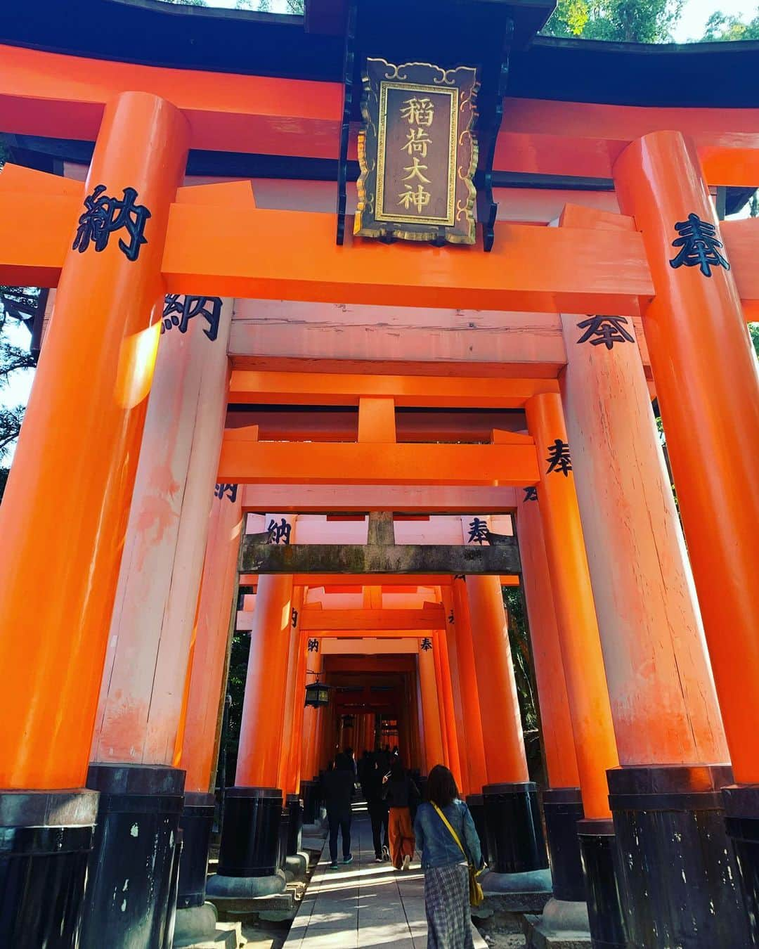 細田采花さんのインスタグラム写真 - (細田采花Instagram)「稲荷神社に行きました！今回はあまり時間がなかったので途中までしか行けなかったけど、次は頂上まで登ってみたいです！」11月1日 18時09分 - raripy.skating