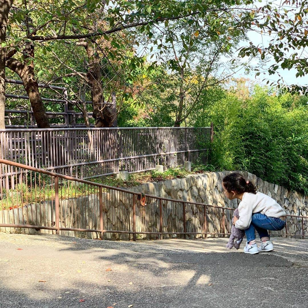 トムセン陽子さんのインスタグラム写真 - (トムセン陽子Instagram)「今日は王子動物園へ☆ ああー、楽しかった〜泣💕 . . . #王子動物園 #神戸 #mylittlegirl」11月1日 18時10分 - yokothomsen