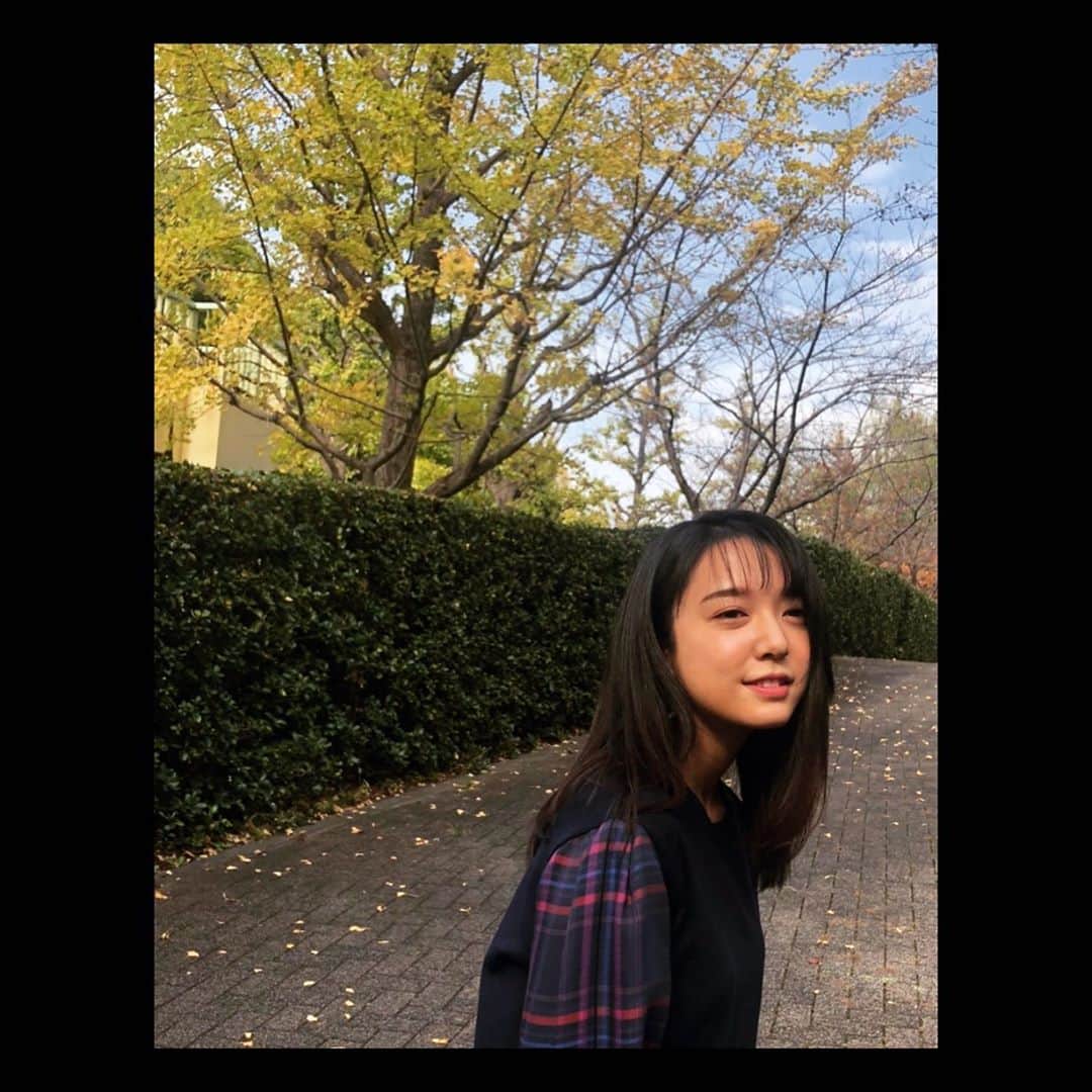 上白石萌音さんのインスタグラム写真 - (上白石萌音Instagram)「銀杏の木が色づき、秋茄子と鯖と本が旬を迎えました📚 #半目便り」11月1日 18時22分 - mone_kamishiraishi