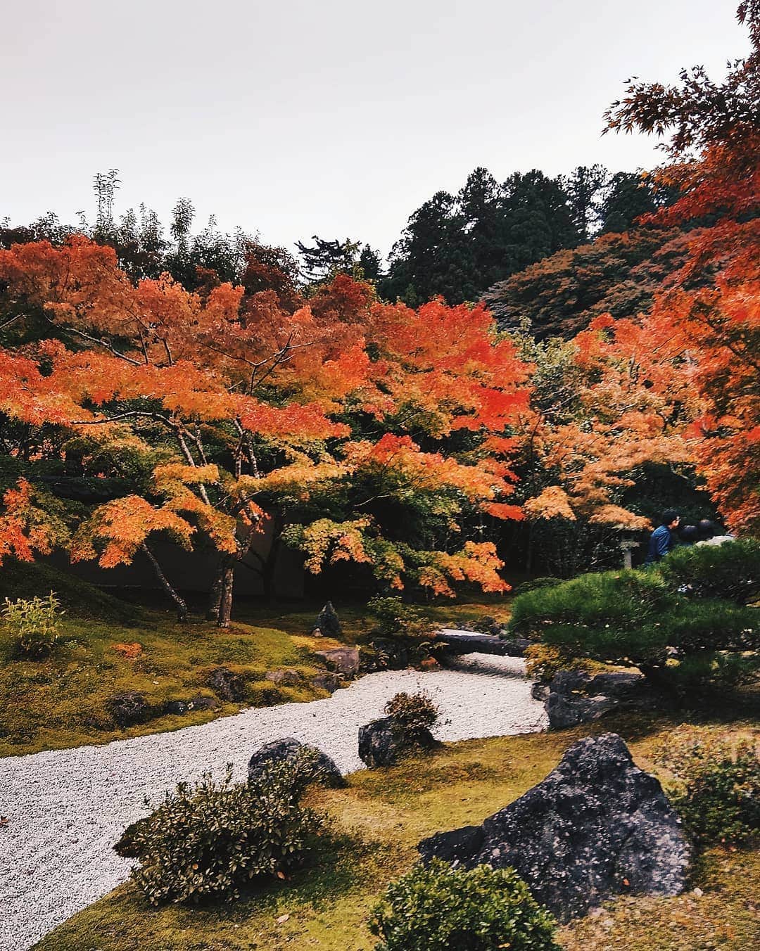 kei_pqのインスタグラム：「宮城・松島円通院🍁紅葉  #vsco #vscotrip #vscocam #vscodaily #vscotravel #sendaicafe #松島 #仙台松島 #円通院 #日本庭園 #紅葉 #円通院紅葉 #東北旅行 #東北紅葉」