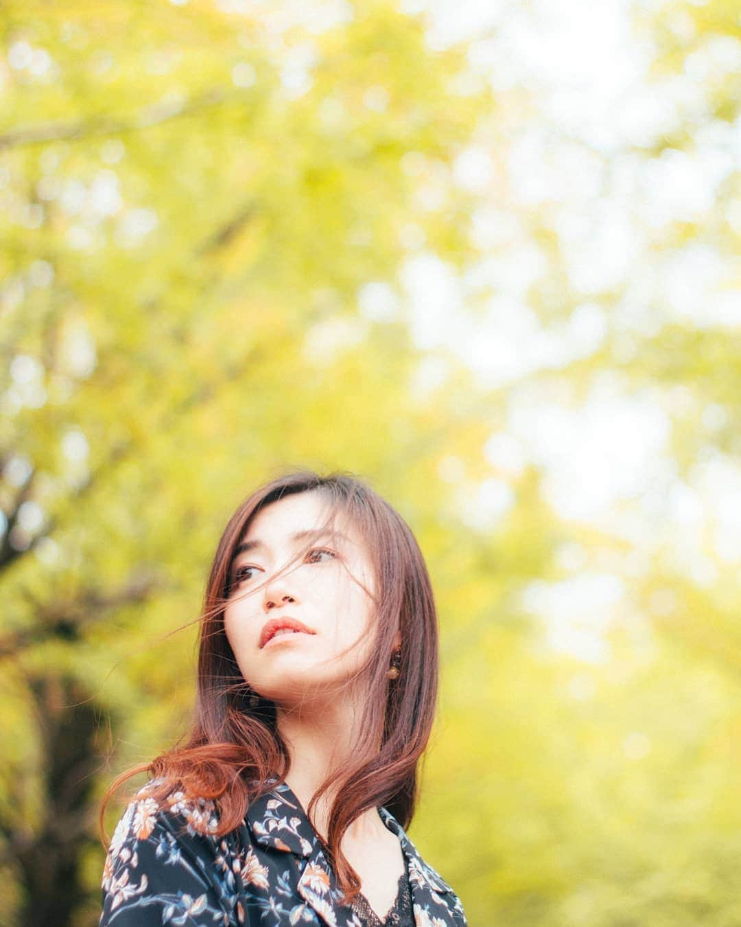 りょーたのインスタグラム：「Tokyo/Japan ・ 撮影リハビリの旅に行ってきました🍁📸 ・ ・ ▼Follow & Tag▼ @team_jp #team_jp_ ・ ・」