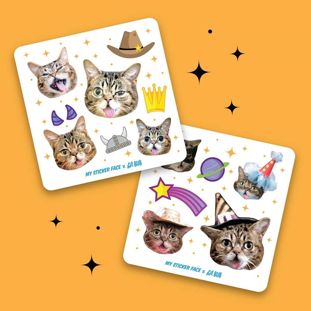 Lil BUBさんのインスタグラム写真 - (Lil BUBInstagram)「Our old friends at @mystickerface are donating 20% of all sales to Lil BUB’s Big FUND for special needs pets AND you get these two exclusive limited edition sticker sheets free with your order though November 2nd. Get custom stickers of your pets, yourself and your friends plus these killer BUB stickers all while helping homeless pets requiring extra care. Check it out at the link in our bio. #lilbub」11月2日 4時39分 - iamlilbub