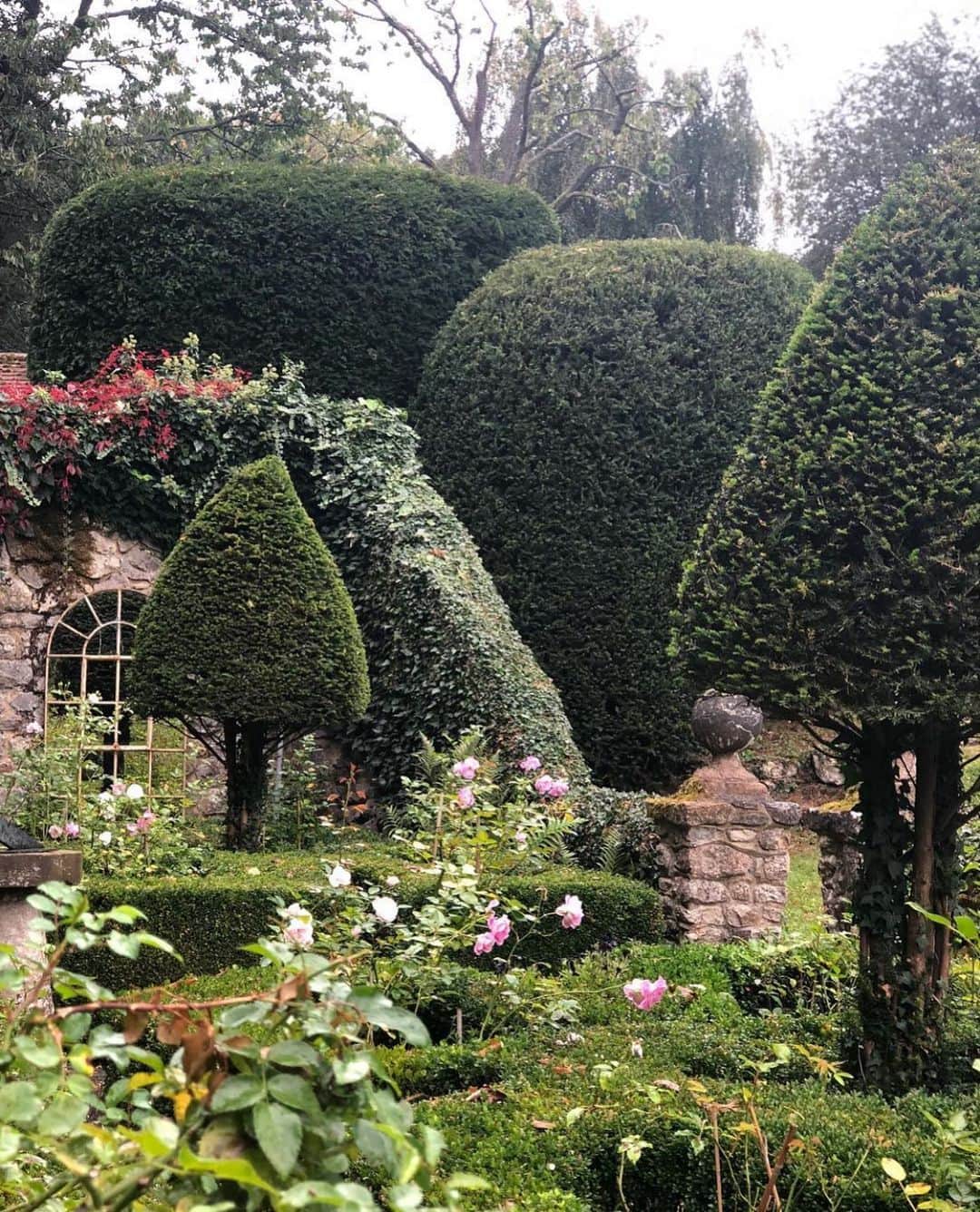 ケリー・ブルックさんのインスタグラム写真 - (ケリー・ブルックInstagram)「My Kent Country Garden 🍂 when the Topiary looks it’s best #kentlivingwithkelly @kentlivingwithkelly」11月1日 20時44分 - iamkb