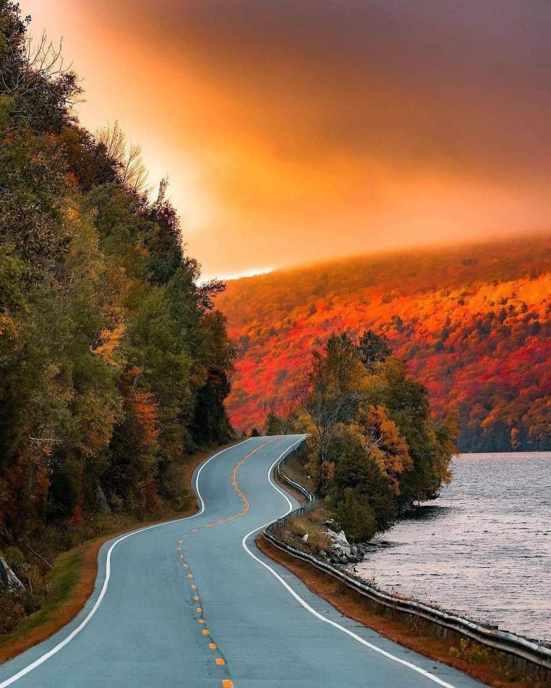 Discover Earthさんのインスタグラム写真 - (Discover EarthInstagram)「Who would you ride on a road trip with? 🛣️ #discovertheroad with @nathanleeallen  . . . .  #newhampshire  #nh  #whitemountains  #603  #newengland  #roadtrip  #ontheroad  #road  #camping  #vanlife  #roadtrippin #fall #autumn」11月1日 21時00分 - discoverearth