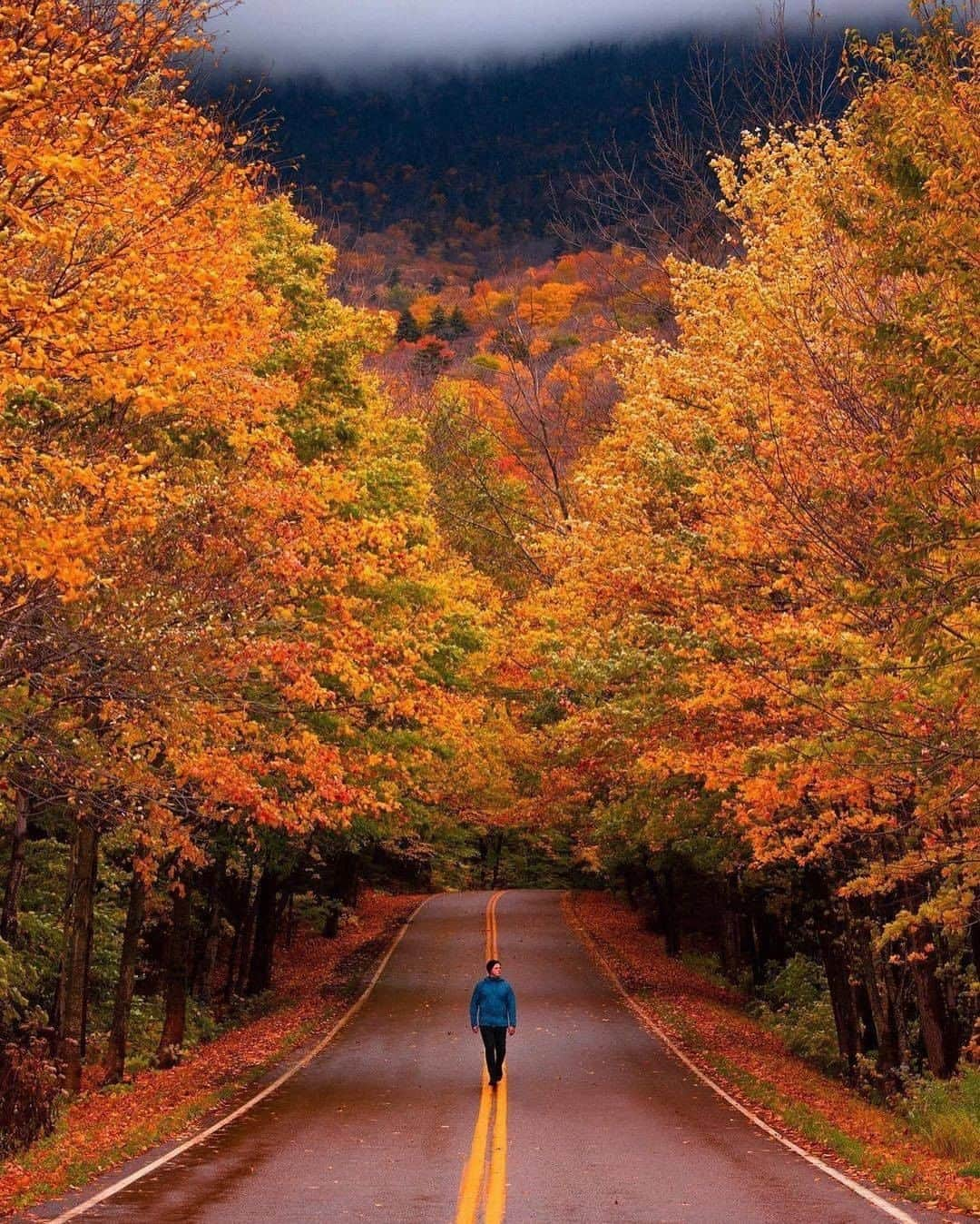 Discover Earthさんのインスタグラム写真 - (Discover EarthInstagram)「Who would you ride on a road trip with? 🛣️ #discovertheroad with @nathanleeallen  . . . .  #newhampshire  #nh  #whitemountains  #603  #newengland  #roadtrip  #ontheroad  #road  #camping  #vanlife  #roadtrippin #fall #autumn」11月1日 21時00分 - discoverearth