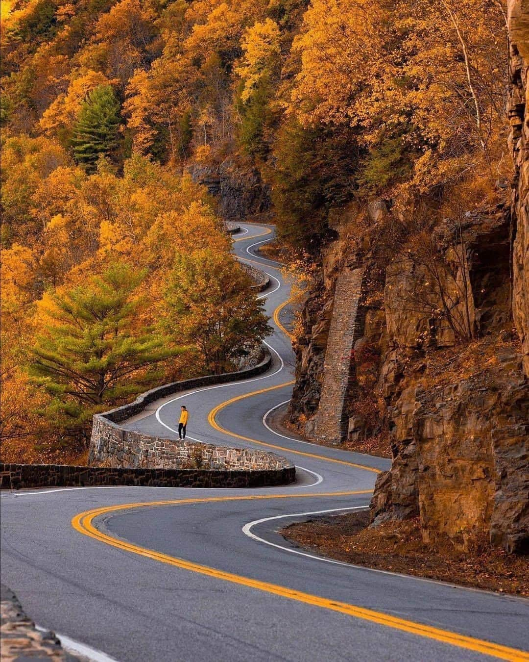 Discover Earthさんのインスタグラム写真 - (Discover EarthInstagram)「Who would you ride on a road trip with? 🛣️ #discovertheroad with @nathanleeallen  . . . .  #newhampshire  #nh  #whitemountains  #603  #newengland  #roadtrip  #ontheroad  #road  #camping  #vanlife  #roadtrippin #fall #autumn」11月1日 21時00分 - discoverearth