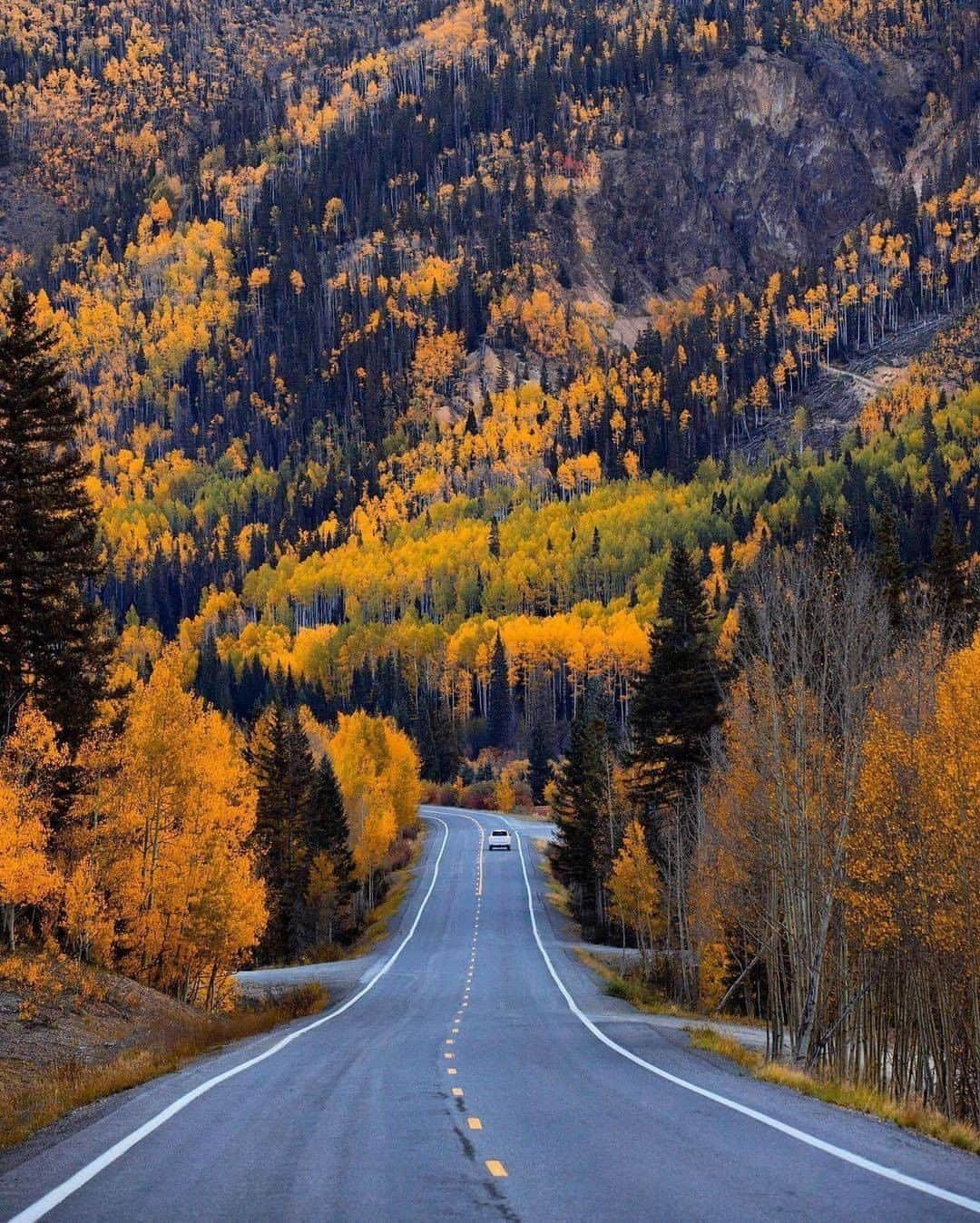 Discover Earthさんのインスタグラム写真 - (Discover EarthInstagram)「Who would you ride on a road trip with? 🛣️ #discovertheroad with @nathanleeallen  . . . .  #newhampshire  #nh  #whitemountains  #603  #newengland  #roadtrip  #ontheroad  #road  #camping  #vanlife  #roadtrippin #fall #autumn」11月1日 21時00分 - discoverearth