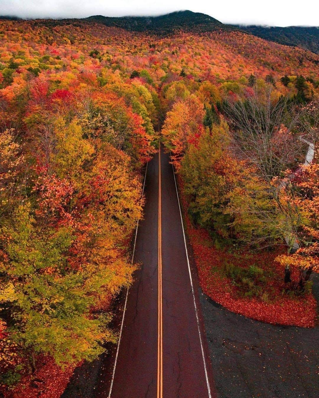 Discover Earthさんのインスタグラム写真 - (Discover EarthInstagram)「Who would you ride on a road trip with? 🛣️ #discovertheroad with @nathanleeallen  . . . .  #newhampshire  #nh  #whitemountains  #603  #newengland  #roadtrip  #ontheroad  #road  #camping  #vanlife  #roadtrippin #fall #autumn」11月1日 21時00分 - discoverearth