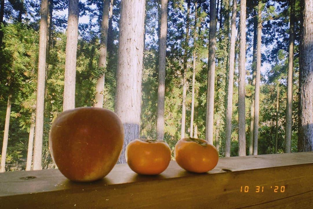 ひらさわあくびさんのインスタグラム写真 - (ひらさわあくびInstagram)「\\ニガミキャンプ写真// 焼き芋、里芋アルミホイルぐるぐる炎放り投げ焼きがほんとうおいしかったーーー #ニガミ17才」11月1日 20時53分 - akubi_nigami