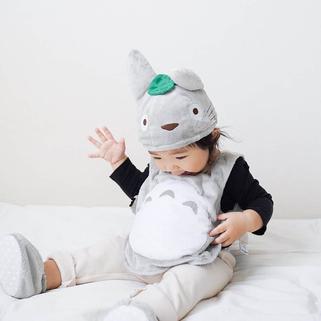 のインスタグラム：「我が家のトトロ。 4ヶ月でぐーんと 伸びてました☺︎(2枚目)」