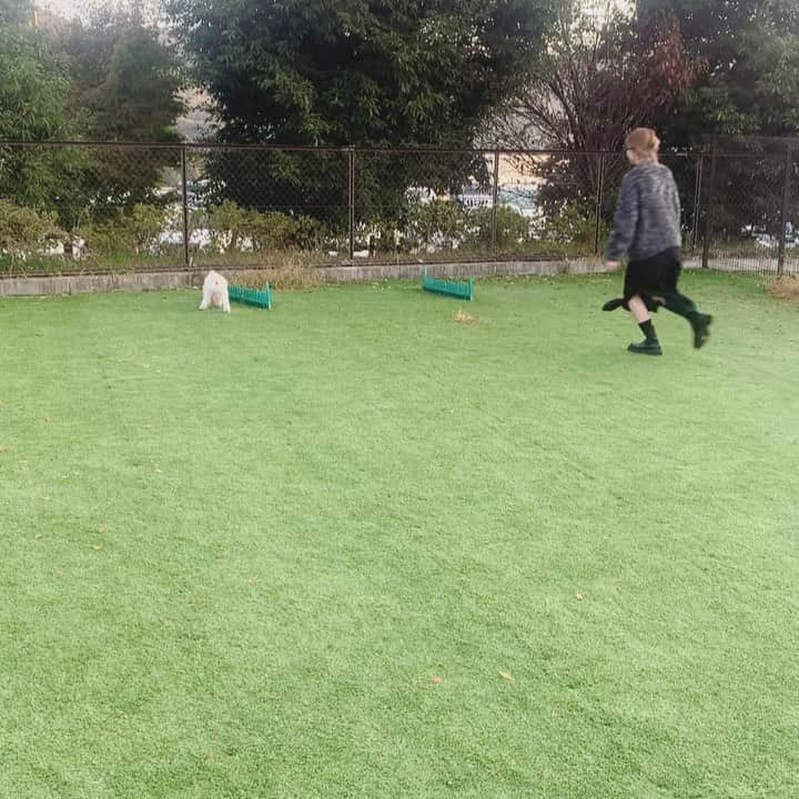 NANA HOSOYAのグルメインスタ