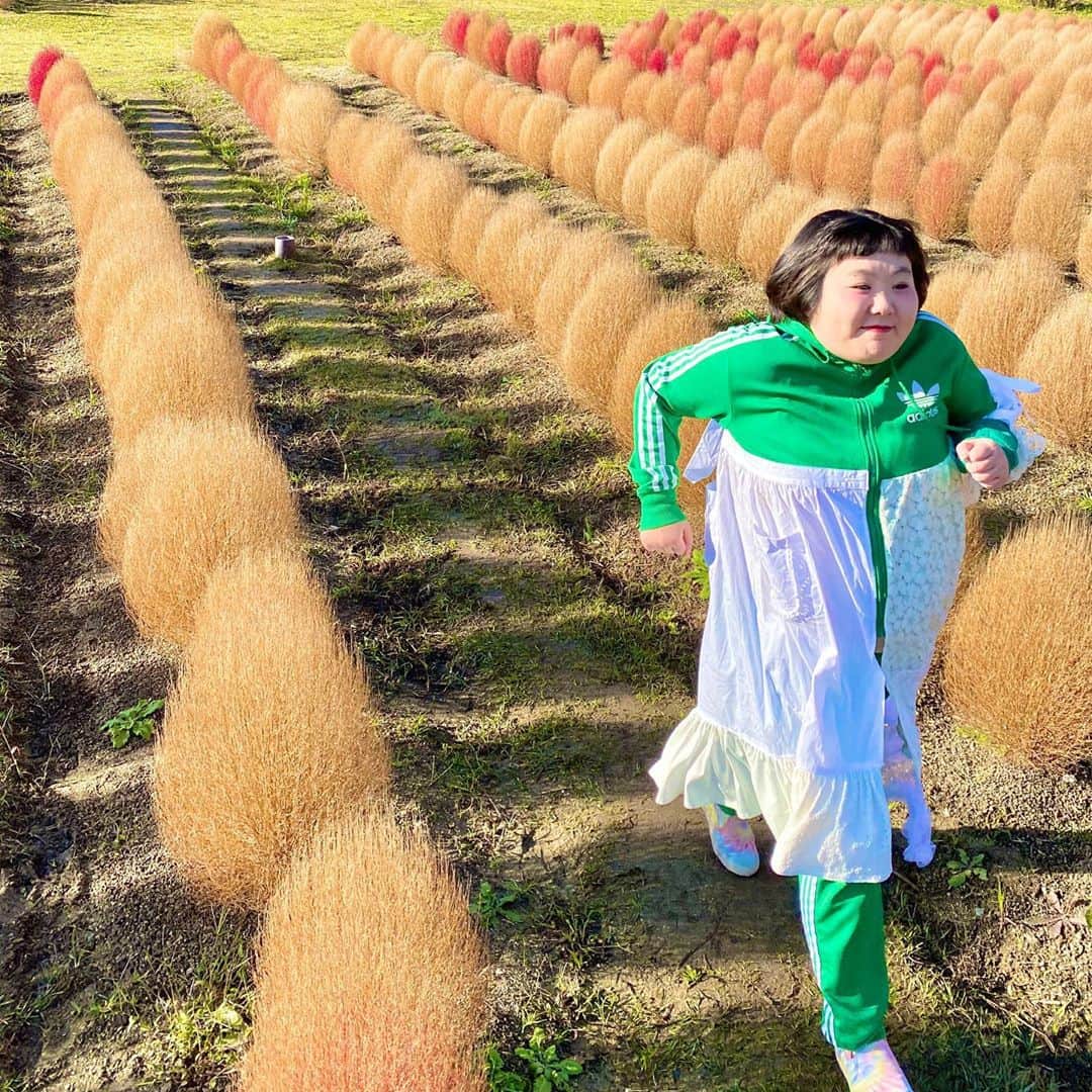 酒井藍さんのインスタグラム写真 - (酒井藍Instagram)「. あまりにも秋の空気がおいしくって、思わず私は走った。」11月1日 21時21分 - sakaiaisakaiai