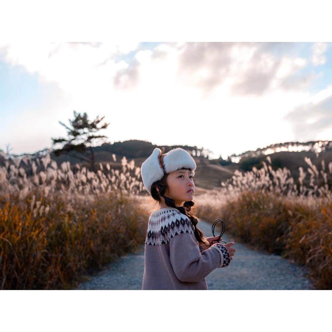 Kyooonのインスタグラム：「ずっと行ってみたかった場所  想像以上に壮大で美しかった✨  レタッチ迷子だったけど 最近楽しくなってきたぞ☺️ #砥峰高原#とのみね高原#すすき#カメラ練習中#レタッチ練習中#sonyα7ⅲ#ママカメラ」
