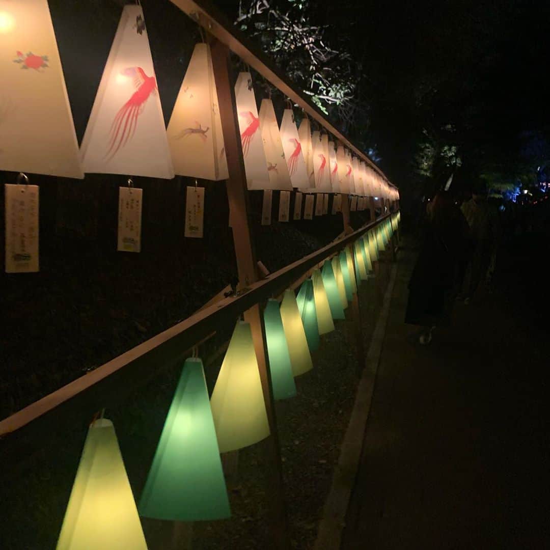松田祥一のインスタグラム：「明治神宮鎮座百年祭奉祝 夜間特別参拝！ すごい良かった」