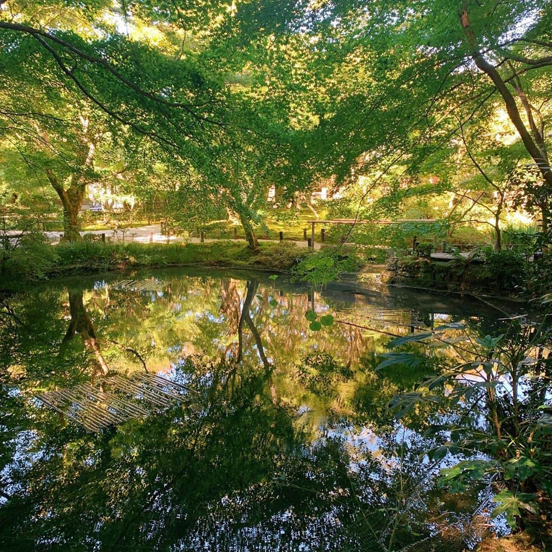 赤坂由梨さんのインスタグラム写真 - (赤坂由梨Instagram)「圓光寺🍁ㅤㅤㅤ 枯山水あり、苔あり、紅葉あり、 絶景あり、竹林の道あり、絵画のような池あり、 かわいいお地蔵さんあり…♡ㅤㅤㅤ  眩しいくらいの緑でした🌲🌳  #京都 #京都旅行 #圓光寺」11月1日 22時14分 - __fuyuri