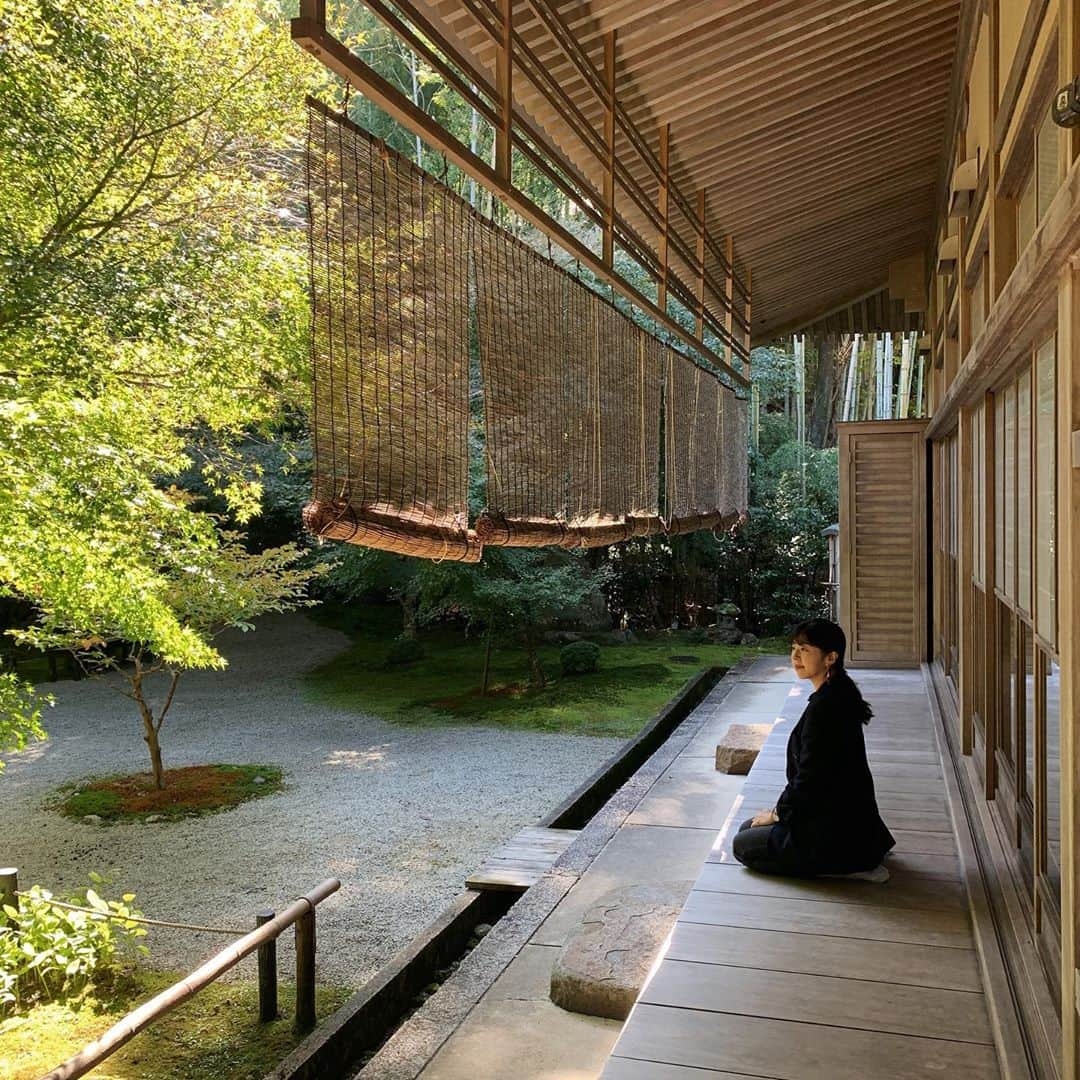 赤坂由梨さんのインスタグラム写真 - (赤坂由梨Instagram)「圓光寺🍁ㅤㅤㅤ 枯山水あり、苔あり、紅葉あり、 絶景あり、竹林の道あり、絵画のような池あり、 かわいいお地蔵さんあり…♡ㅤㅤㅤ  眩しいくらいの緑でした🌲🌳  #京都 #京都旅行 #圓光寺」11月1日 22時14分 - __fuyuri