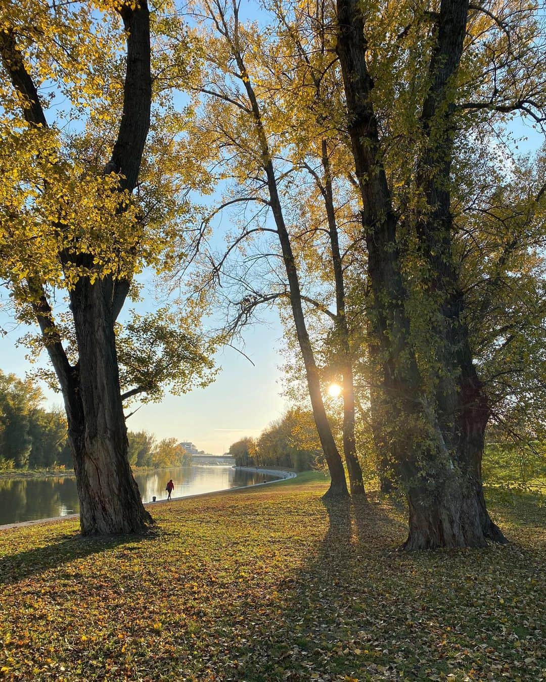 ヴァネッサ・アクセンテのインスタグラム：「Golden hour 🍂🍂💕」