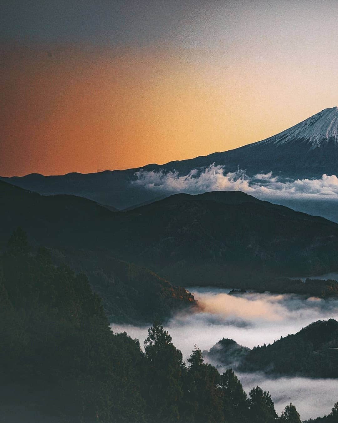 Berlin Tokyoさんのインスタグラム写真 - (Berlin TokyoInstagram)「With the sky burning bright at sunrise, Mt. Fuji exudes a fierce energy from within. .  . I lost my doron a little after I photographed this beautiful sunrise. I couldn't find where it is and it's still stuck in the tree.😭 . . . #hellofrom Mt-Fuji #japan」11月1日 22時51分 - tokio_kid