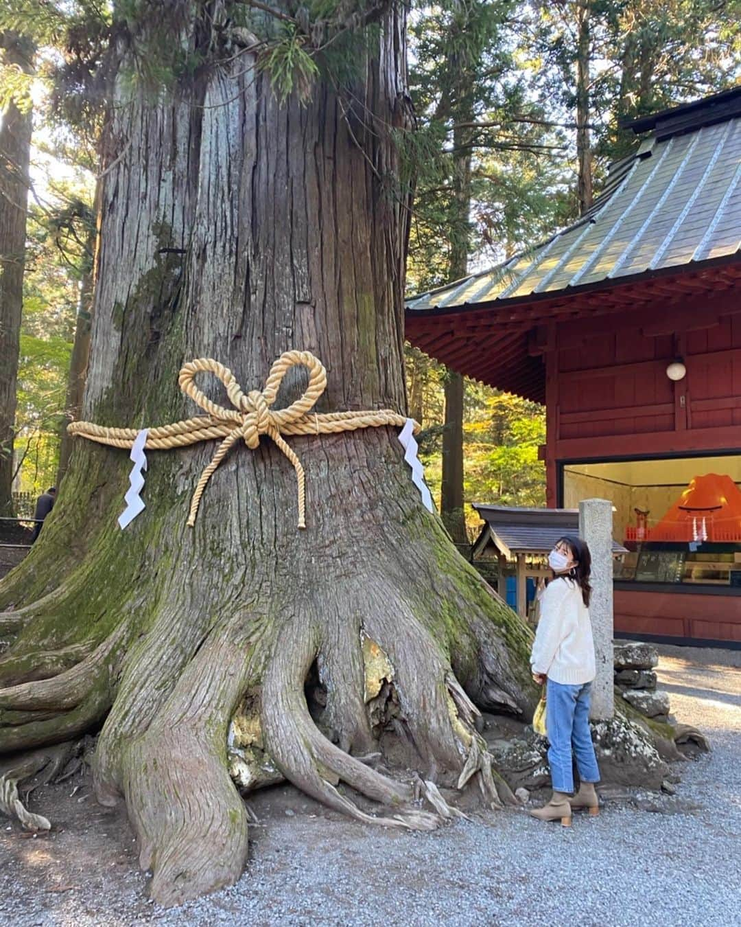 木本夕貴さんのインスタグラム写真 - (木本夕貴Instagram)「🌳🌳🌳  #神社 #神社巡り #神社参拝  #富士浅間神社 #お参り #japan #japanese #japanesegirl  #followｍe #happy #life #dreamcatcher #dreamscometrue #actress #lfl #autumn #fashion #fun #instagood #me #nature #ootdfashion #style #smile #travel #trip」11月1日 22時57分 - yuuki___kimoto