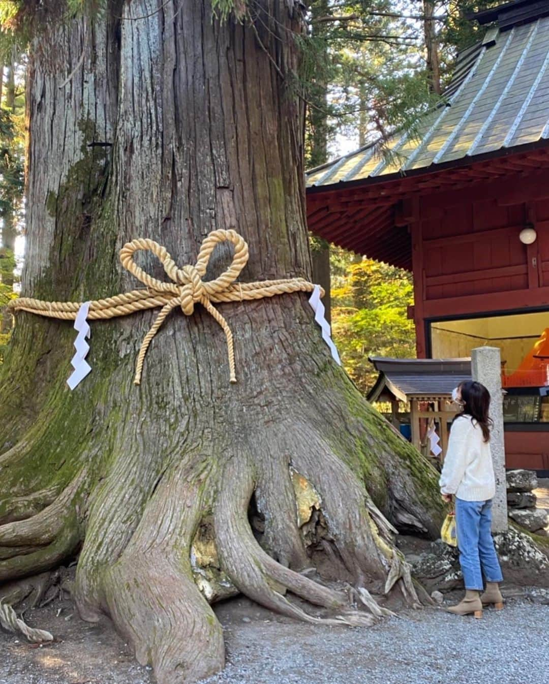 木本夕貴さんのインスタグラム写真 - (木本夕貴Instagram)「🌳🌳🌳  #神社 #神社巡り #神社参拝  #富士浅間神社 #お参り #japan #japanese #japanesegirl  #followｍe #happy #life #dreamcatcher #dreamscometrue #actress #lfl #autumn #fashion #fun #instagood #me #nature #ootdfashion #style #smile #travel #trip」11月1日 22時57分 - yuuki___kimoto