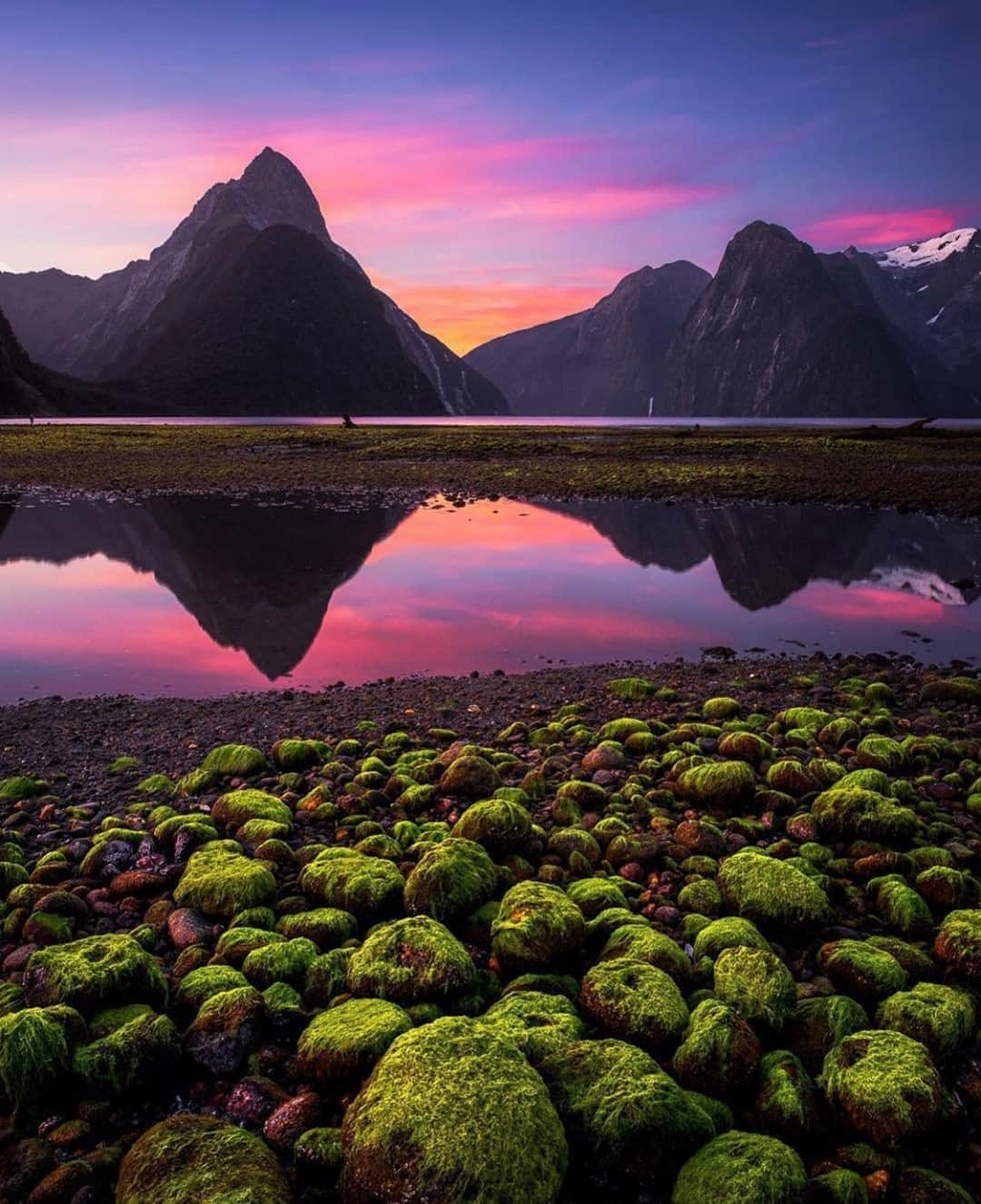 Earth Picsさんのインスタグラム写真 - (Earth PicsInstagram)「Milford Sound, Fiordland National Park 🇳🇿 by @south_of_home」11月1日 23時00分 - earthpix