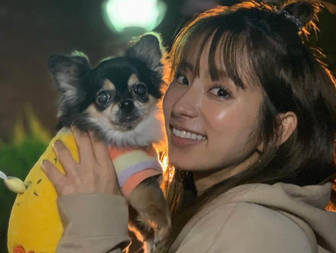 前田ゆうさんのインスタグラム写真 - (前田ゆうInstagram)「犬の日❗️🐶わんわんわん🐕 けいたんとびーたむそんそんとたくさん写真とった今日🕺🏻」11月1日 23時28分 - yuu_maeda