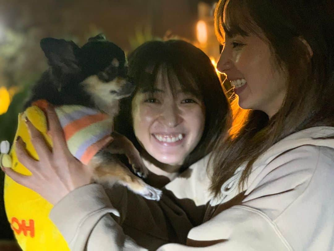 前田ゆうさんのインスタグラム写真 - (前田ゆうInstagram)「犬の日❗️🐶わんわんわん🐕 けいたんとびーたむそんそんとたくさん写真とった今日🕺🏻」11月1日 23時28分 - yuu_maeda