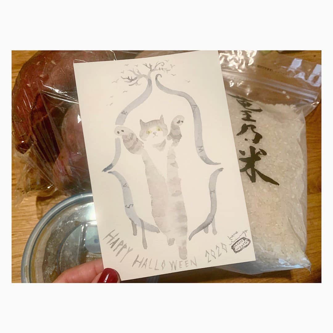 坂本美雨さんのインスタグラム写真 - (坂本美雨Instagram)「ハナエさん @hanae.iwanaga から、ふいに届いた愛情便。 お父さんのお米、お母さんのお味噌、さつまいも。 チョイスが戦時中みたいだけども、と書いてあって笑ってしまった😂 いただきますっっ❤︎ ハロウィンバージョンの #ズサァ サバもうれしすぎるよ…！ #サバ美」11月1日 23時24分 - miu_sakamoto