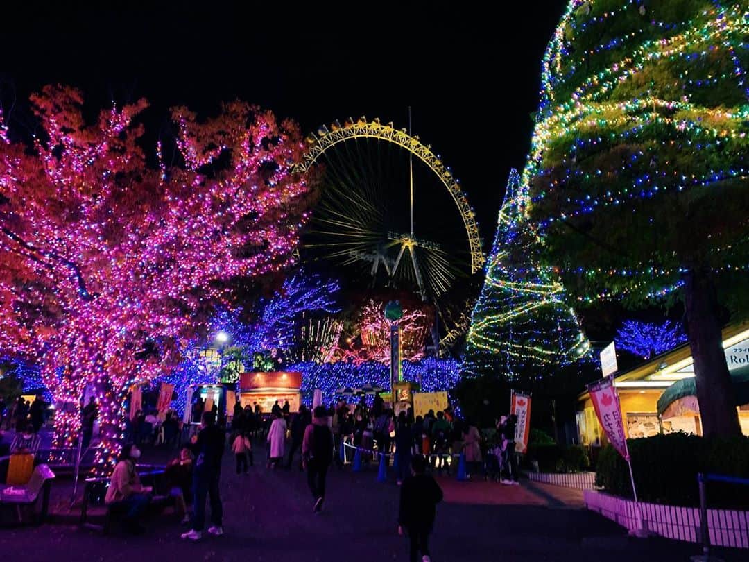 EMIさんのインスタグラム写真 - (EMIInstagram)「☆ 今年もまた見れた♡ #よみうりランド  #ジュエルミネーション」11月1日 23時34分 - emi_idea
